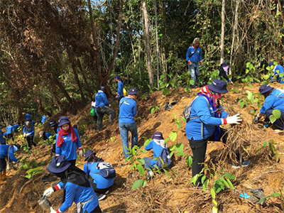 Student volunteers working on a Tropical Forest Regeneration Project in Malaysia